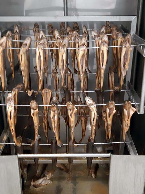 2020 11 10 forelle4s