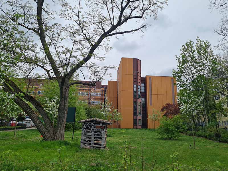 2024 04 streuobstwiese 4s