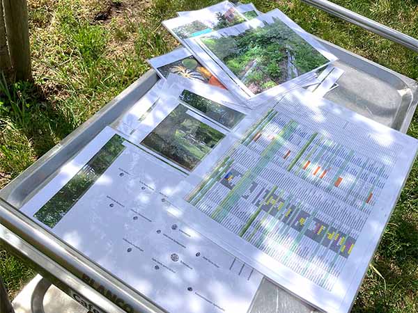 fest streuobstwiese 4