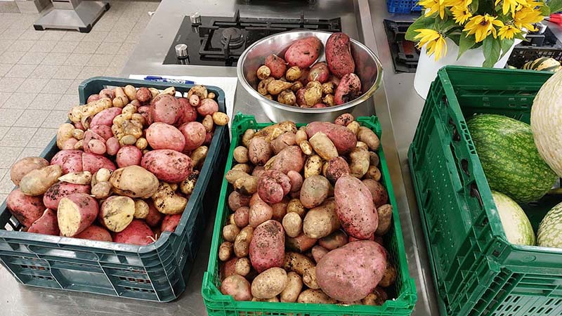 2022 12 schulgarten 1s