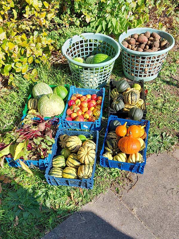 2022 12 schulgarten 5s