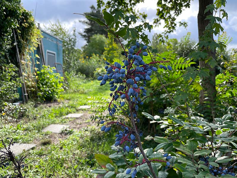 2022 12 umweltpreis 3s