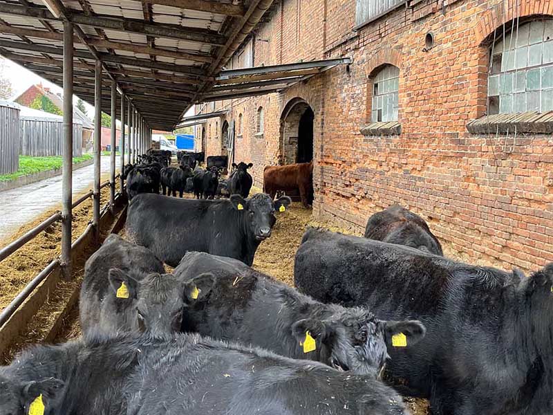 2023 11 gut kerkow 05s