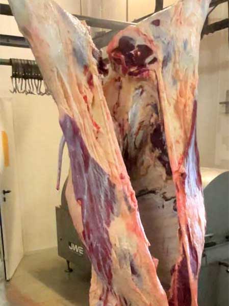 2023 11 gut kerkow 09s