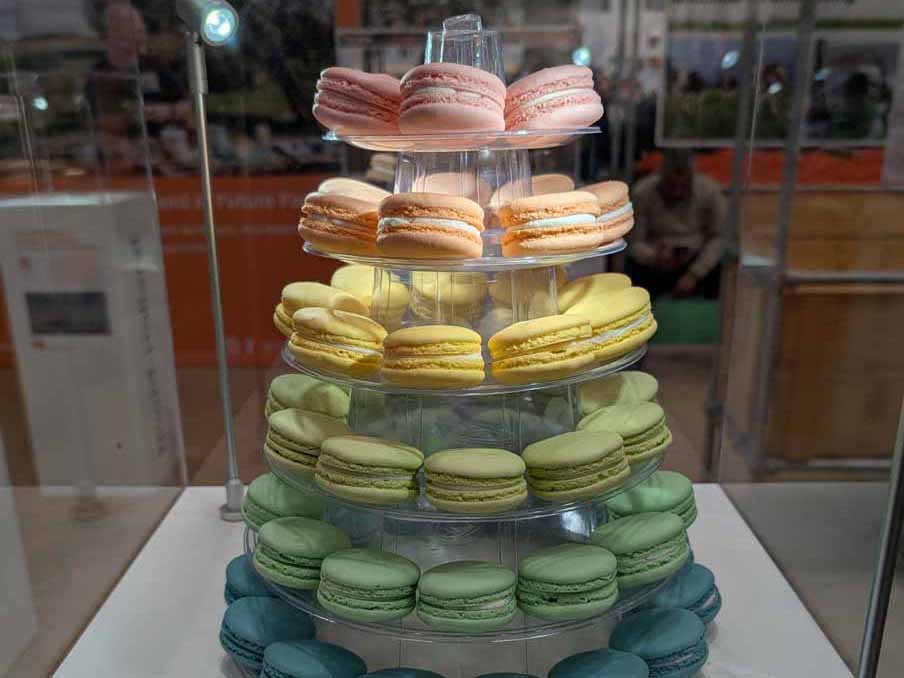 Fachschule besucht Grüne Woche