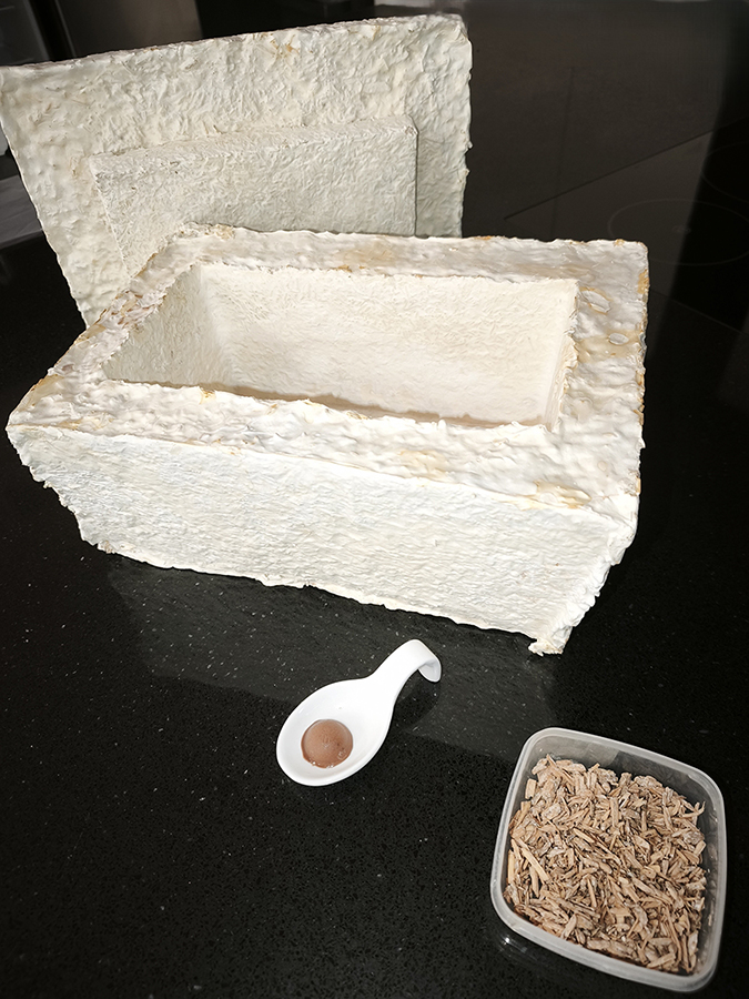 mvimg 20260114 102836 1200px s