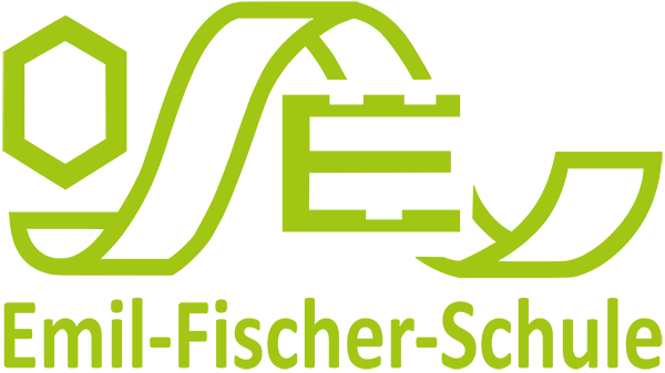 logo efs