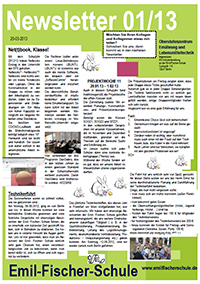 2013 01 newsletter
